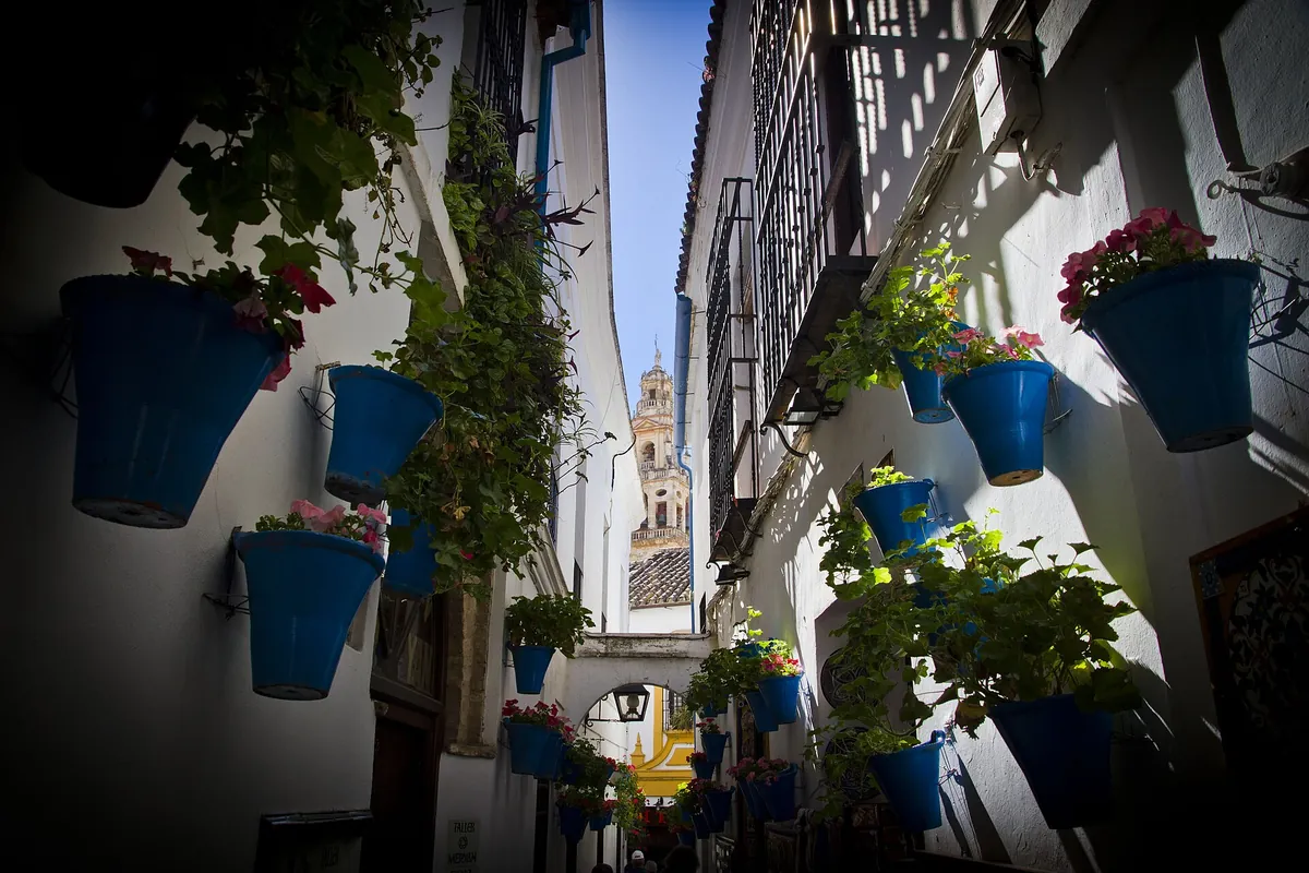 The whitewashed, flower-lined lanes of the Judería on the Cordoba Jewish Quarter, Mosque and Synagogue tour